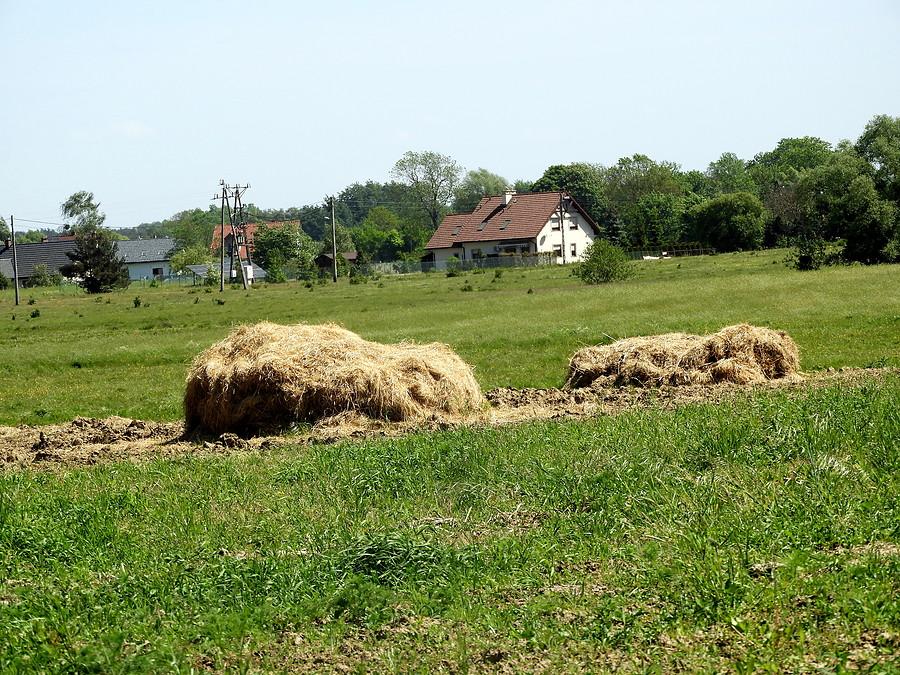 coś wiejskiego pod Łęgami.