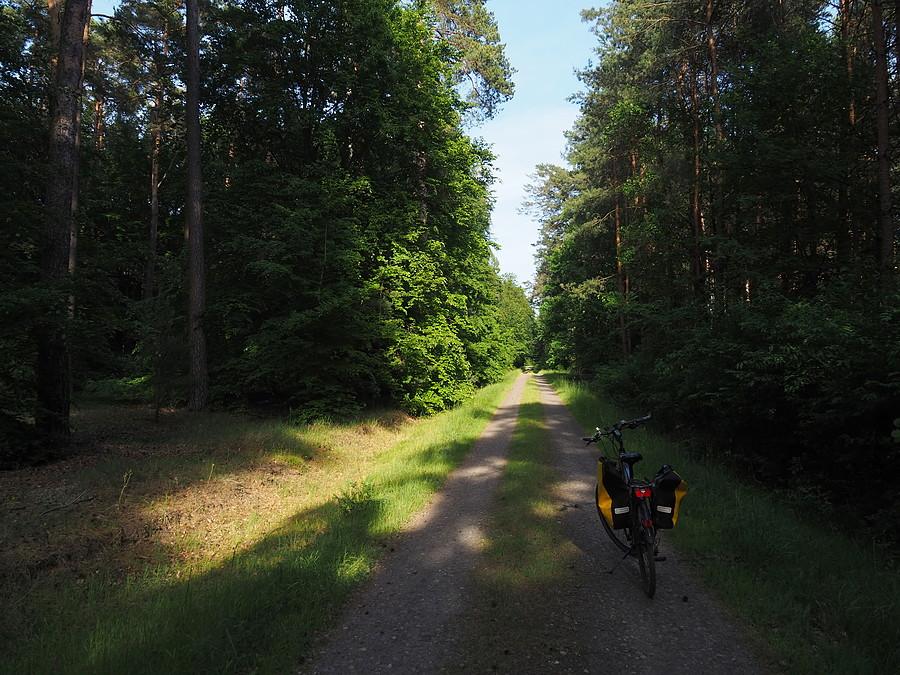 Szuter od Kunowic w kierunku Gajca