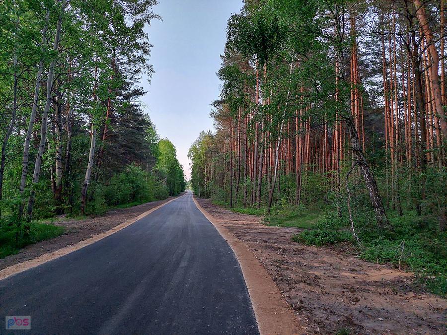 Wyasfaltowana droga z Żarek Letniska do Wysokiej Lelowskiej