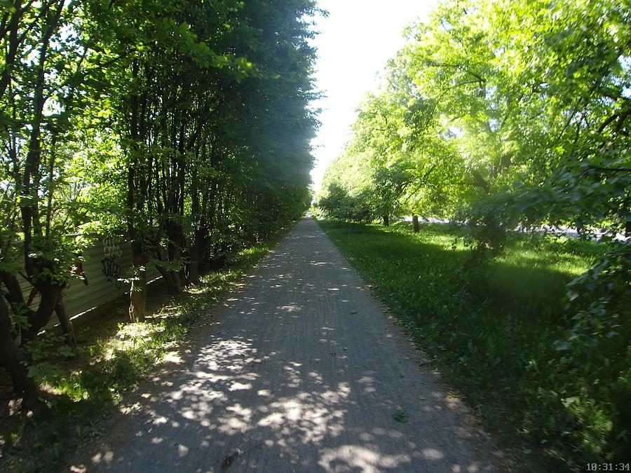 Aleja Żwirki i Wigury