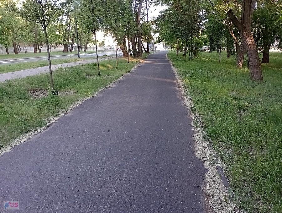Akacjowe pasy boczne na ddr