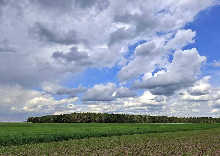 Drugie spojrzenie na Lisówki