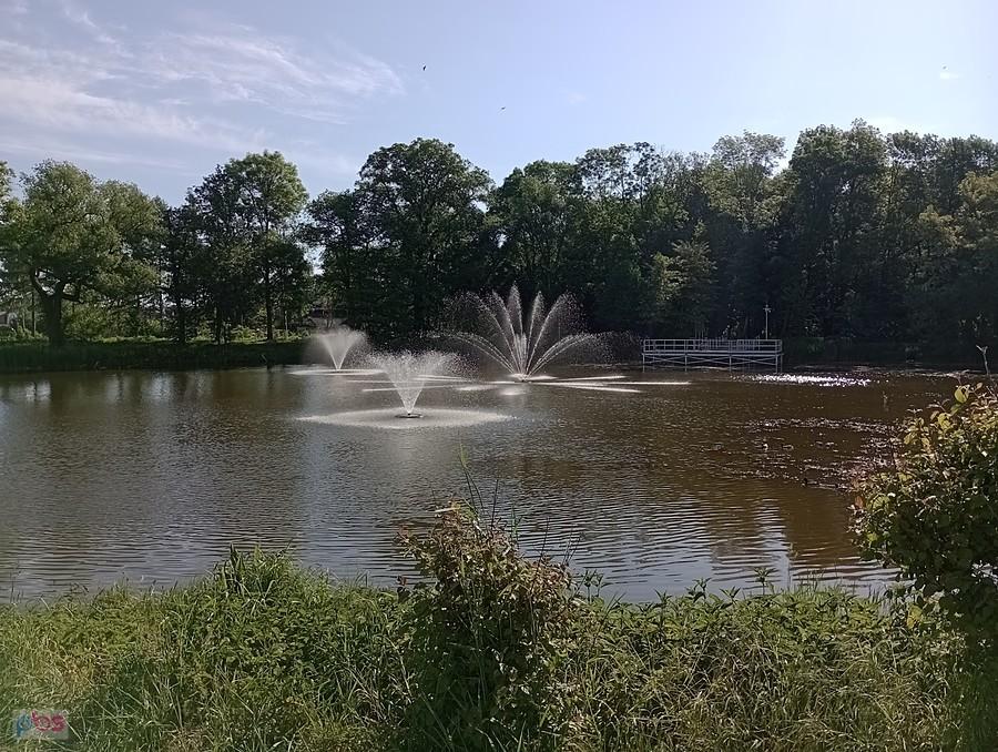 Staw w Ołtarzewie