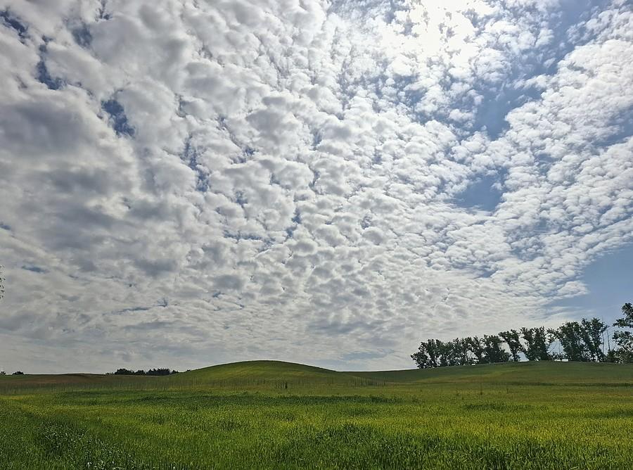 Podrapane chmurki