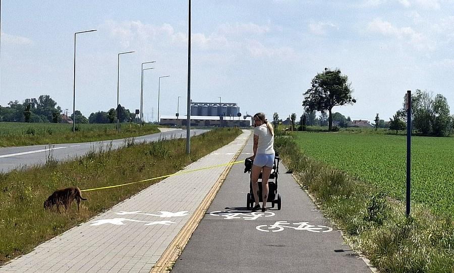 Kolejny raz Polska w pigułce