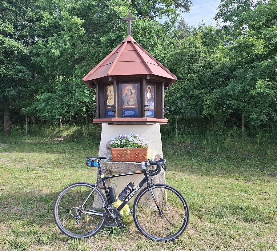 Pod kapliczką w Dębogórze