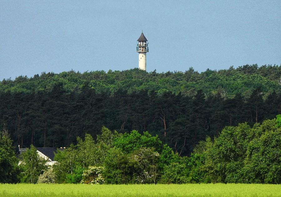 Dziewicza Góra