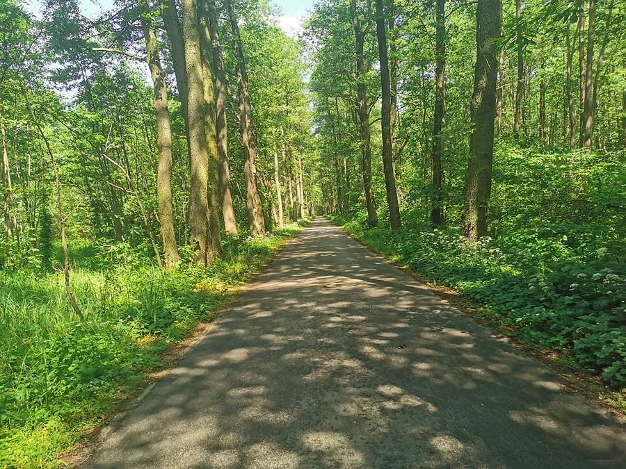 Droga Wiersze - Brzozówka