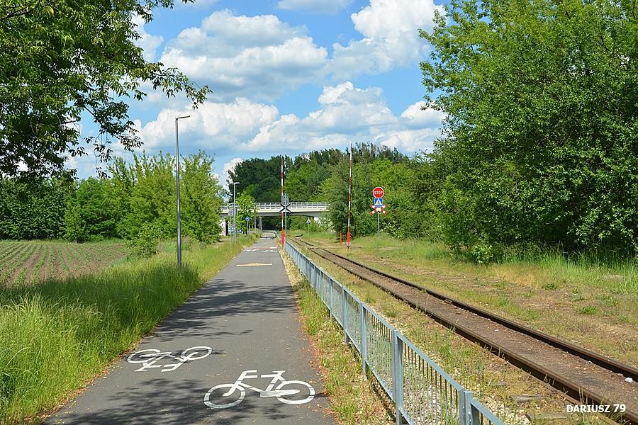 Tarnowskie Góry