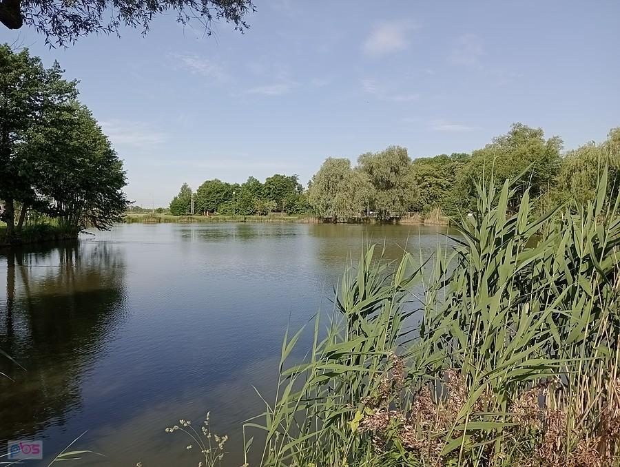 Staw w Zielonkach
