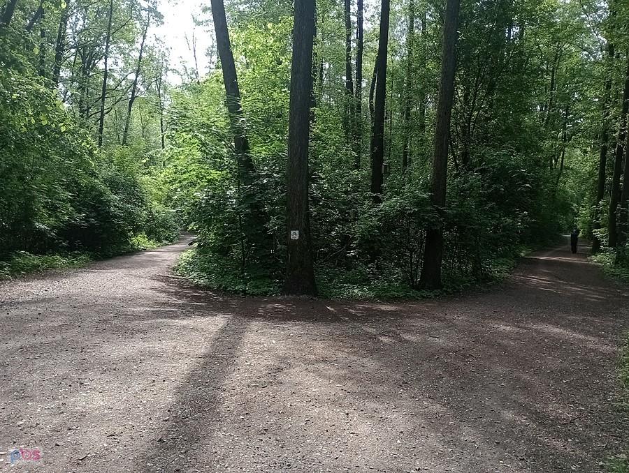 Na rozstaju dróg