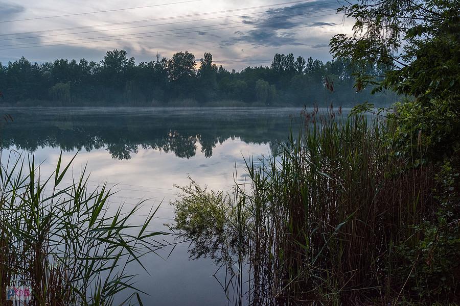 Michalina wieczorową porą - godz. 20:50