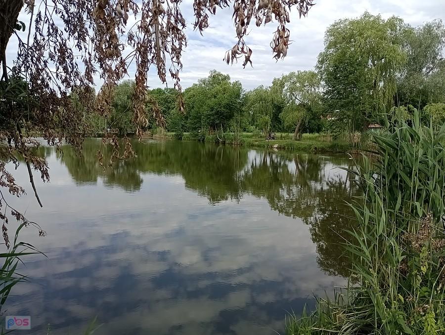 Staw w Zielonkach