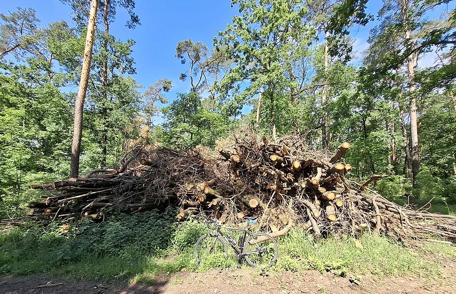 Rowerówka wycinkowa