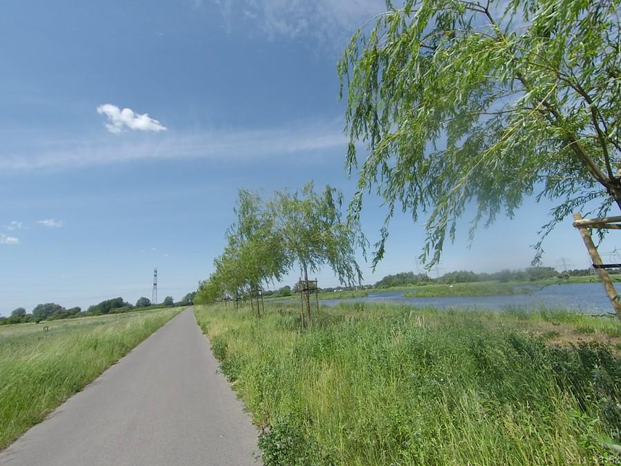 Staw w Michałowicach