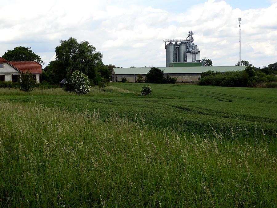 Na skraju miejscowości Barnisław.