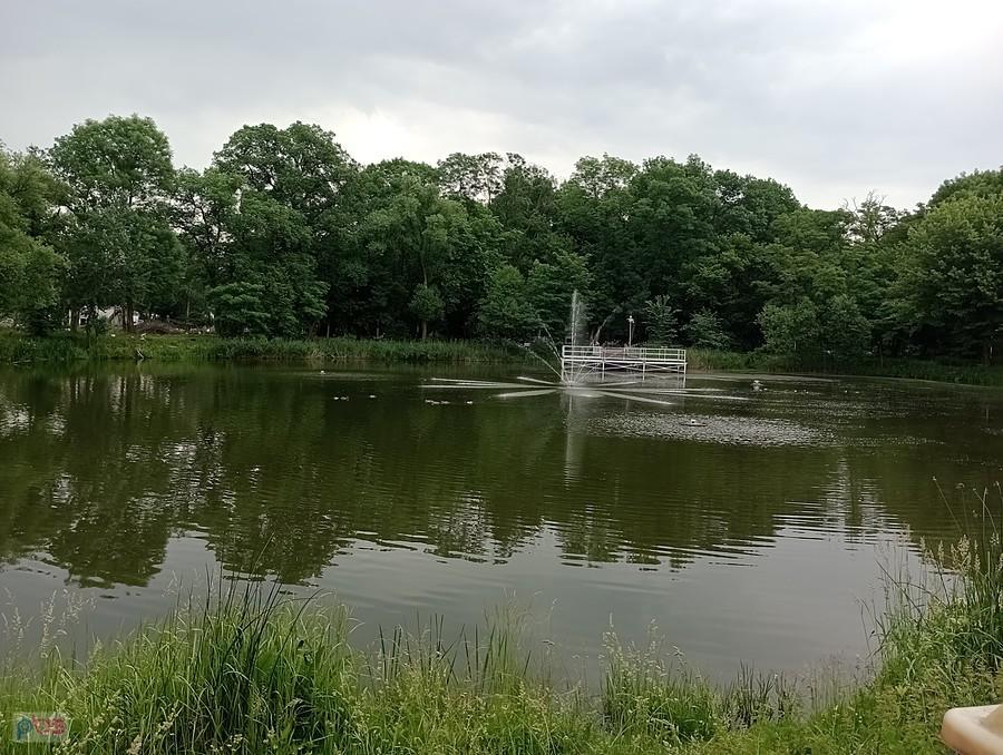 Staw w Ołtarzewie