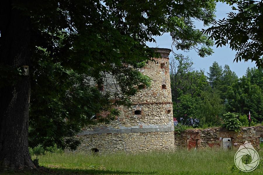 resztki zamku w Pruchniku