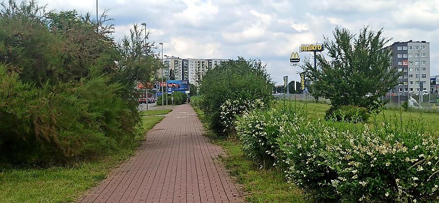 Ścieżka rowerowa wzdłuż ulicy Południowej.