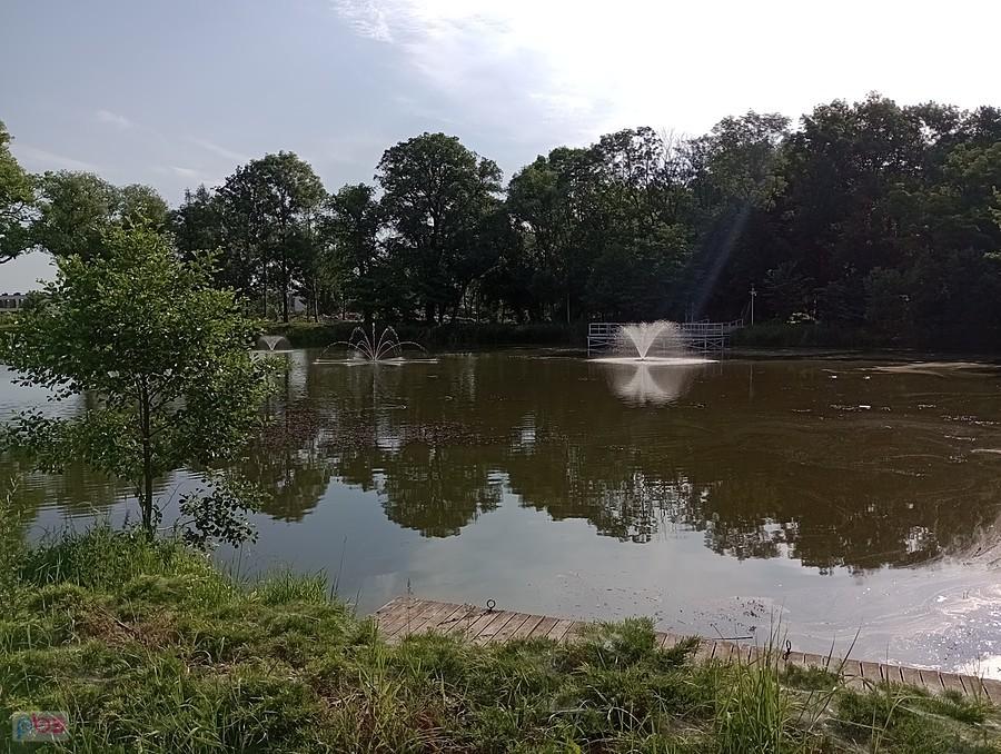 Staw w Ołtarzewie