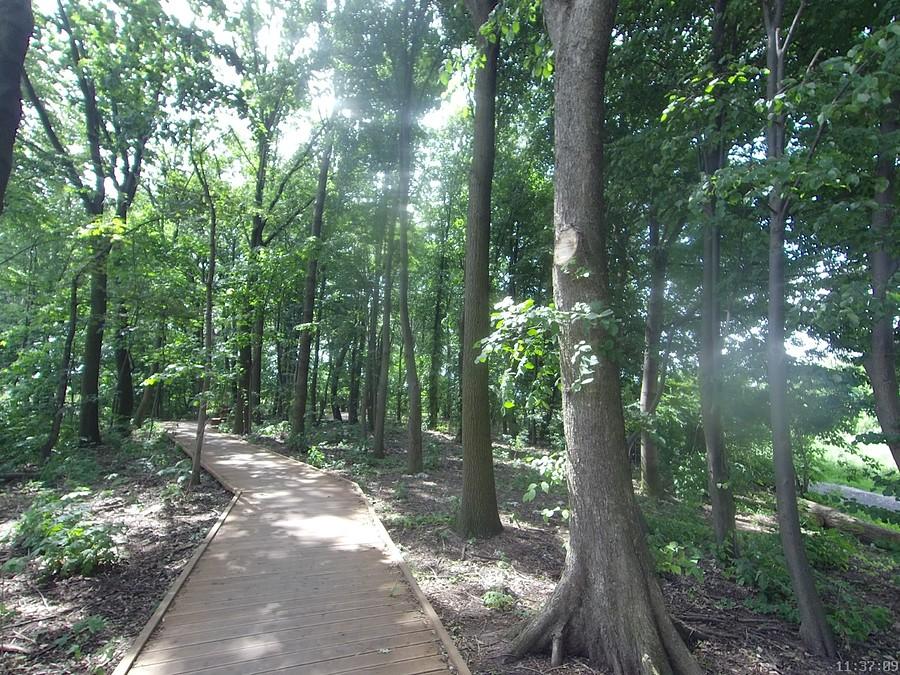 Park przy szkole na Hemara