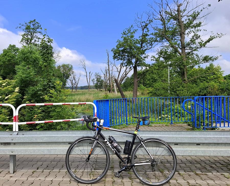 Rowerówka z Trzcielina