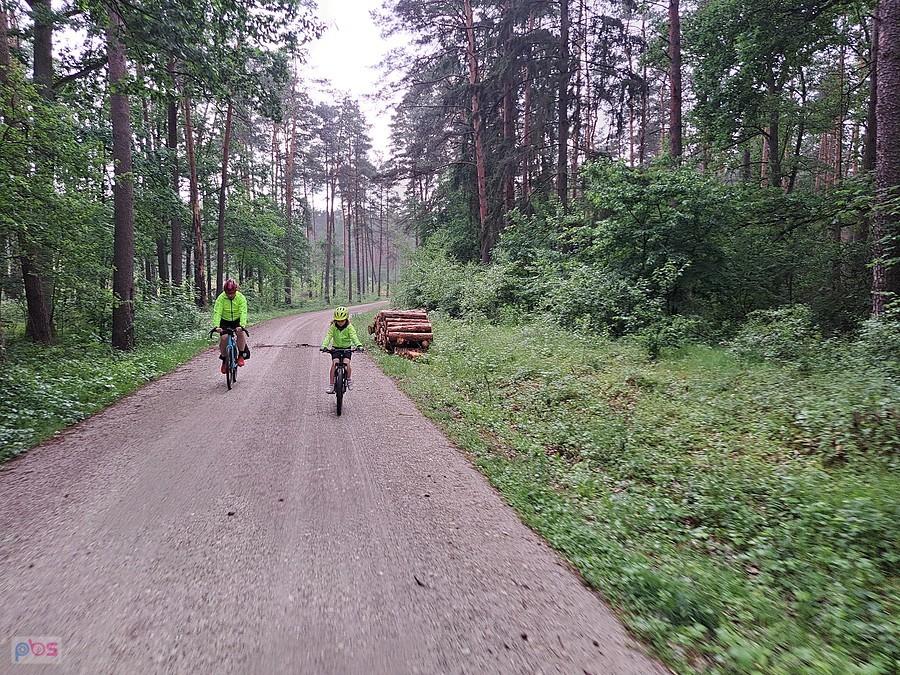 Szutrową autostradą przez las