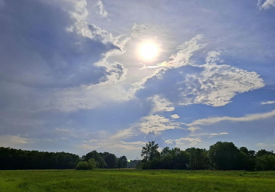 Słońce nad Rogalińskim Parkiem Krajobrazowym