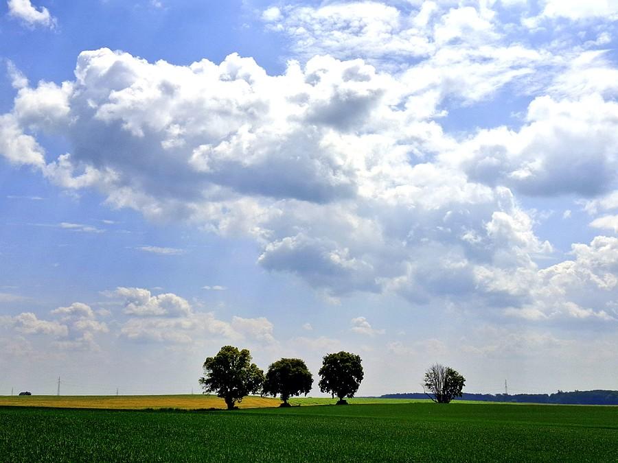 Ulubiony widok z Lisówek