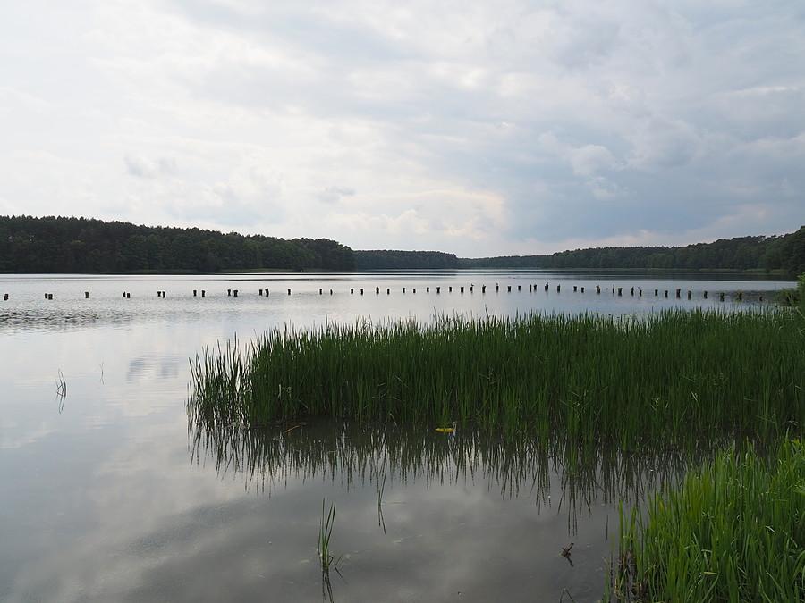 Jezioro Wielickie