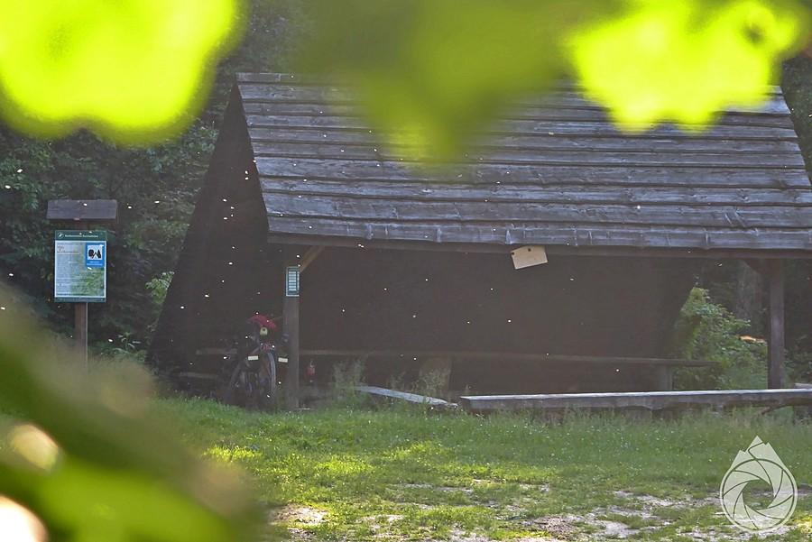 wiata miejsca biwakowowego