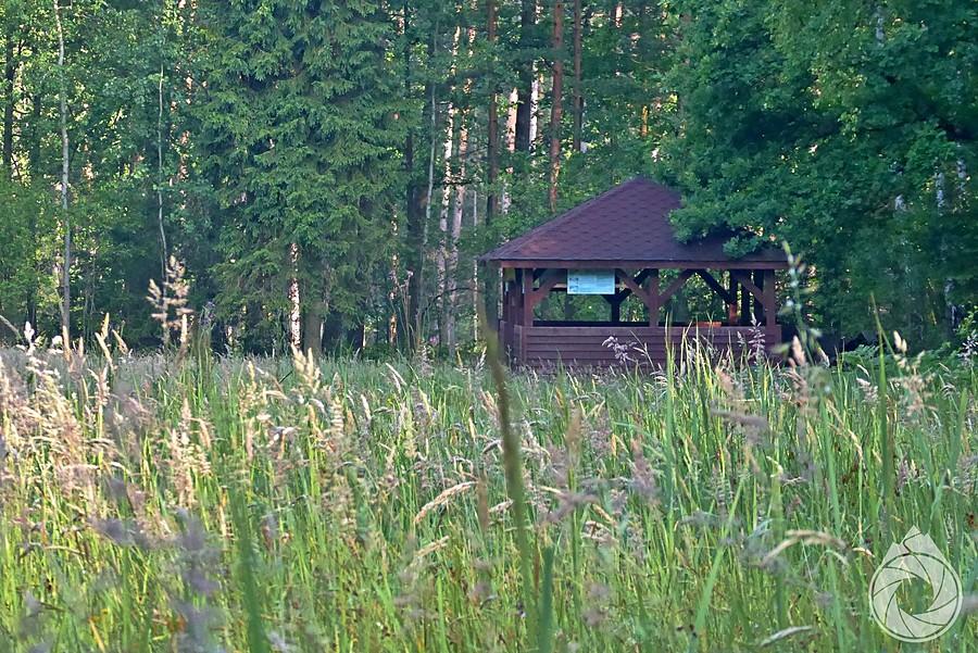 altana myśliwska z rana
