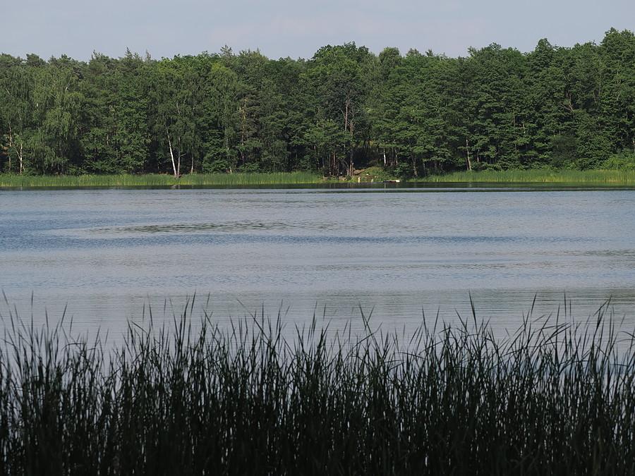 Jezioro Rzepsko i pierwsi plażowicze