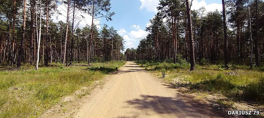 Dąbrowa Górnicza - Błędów