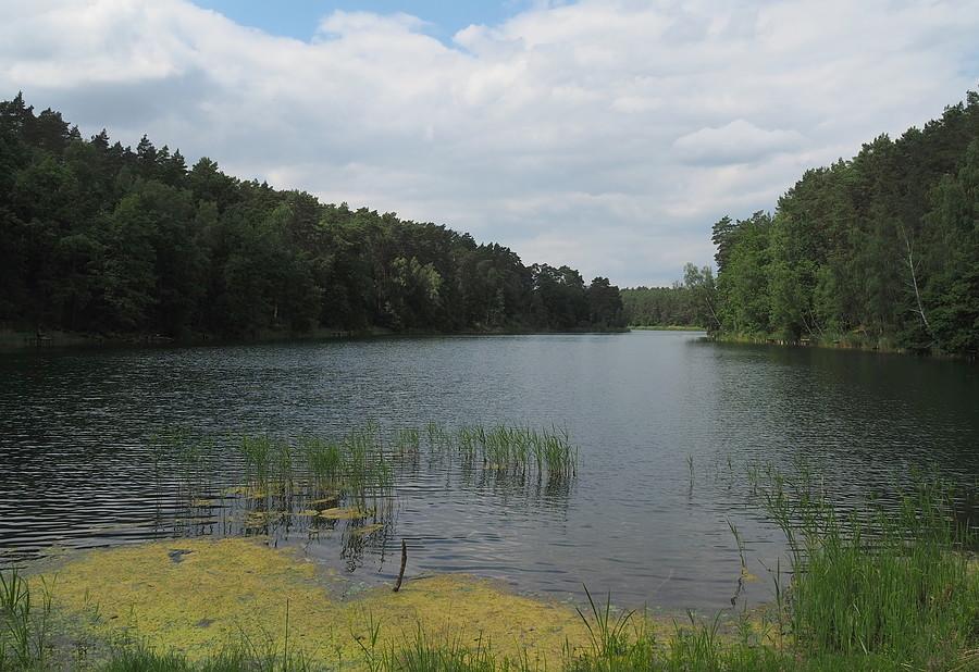 Fragment Jeziora Grzybno