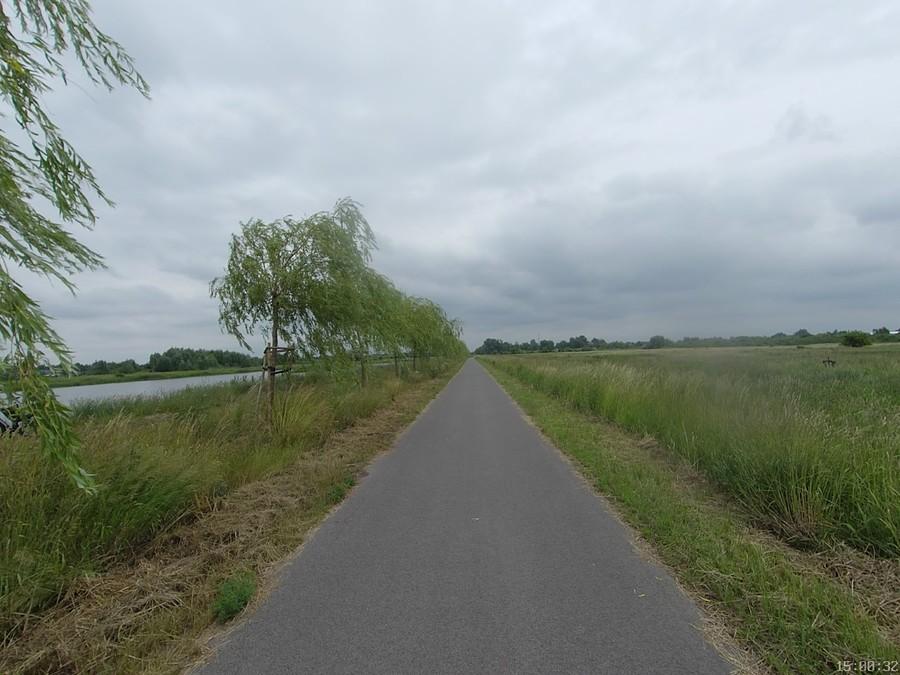 Stawy w Michałowicach
