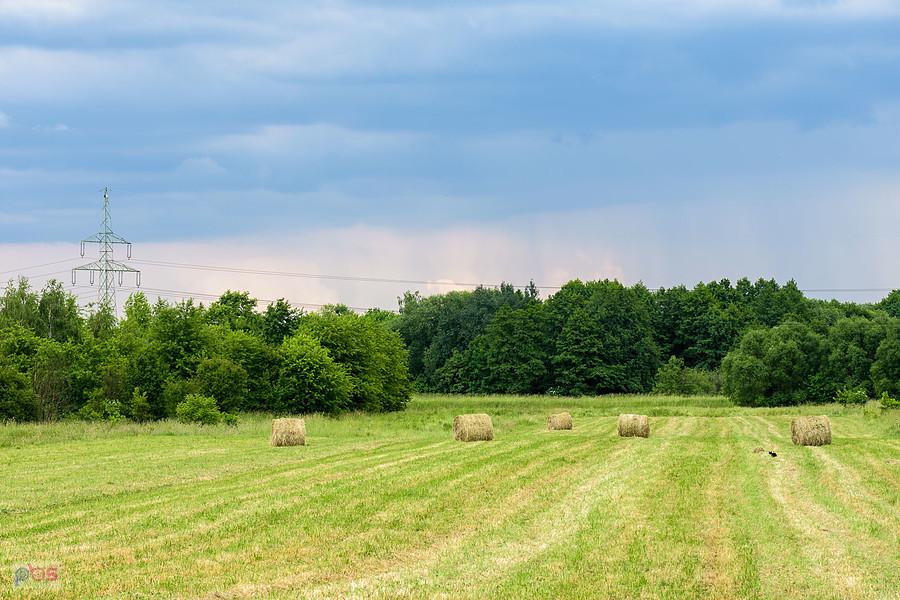 Pole w częstochowskiej dzielnicy Stradom