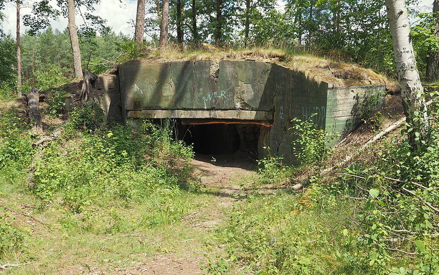 Panzerwerk Pz.W.875, wejście