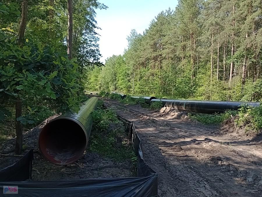 Budowa gazociągu w lesie