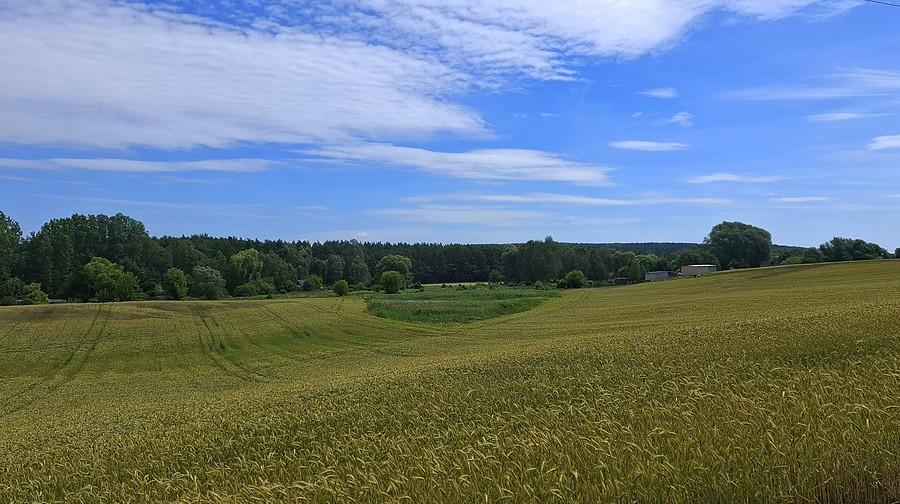 Pola i niebo