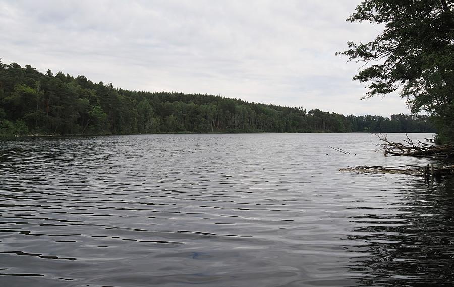 Fragment Jeziora Lubińskiego