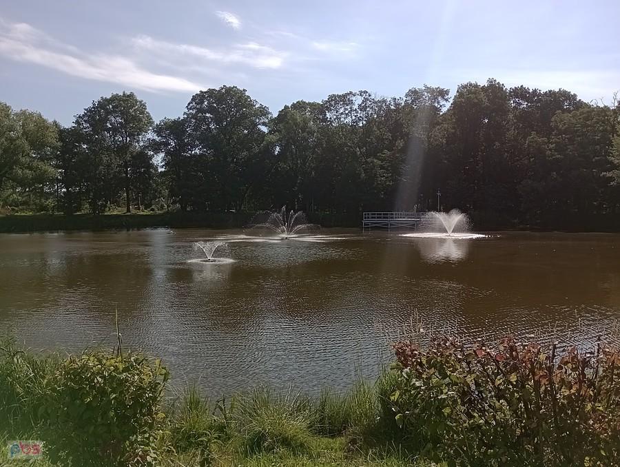 Staw w Ołtarzewie