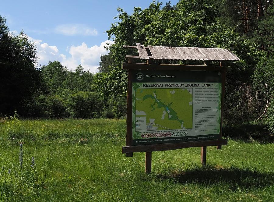 Rezerwat Przyrody - Dolina Ilanki