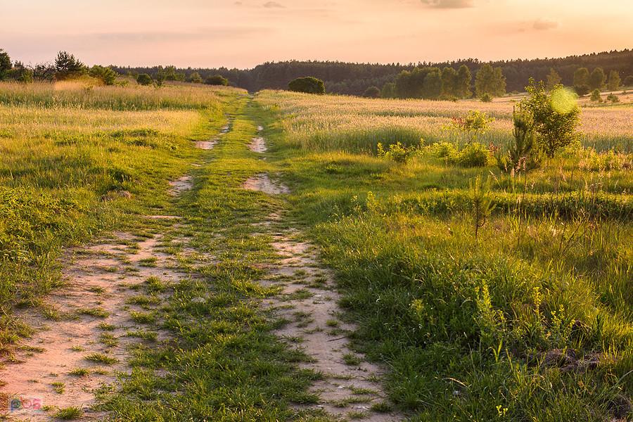 Jaroszów - droga za plecami