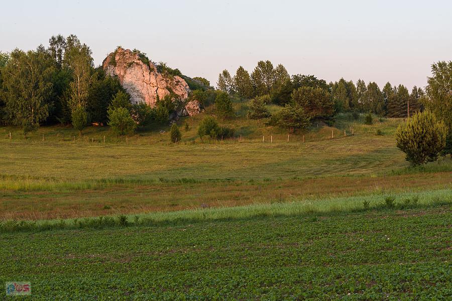 Suliszowice