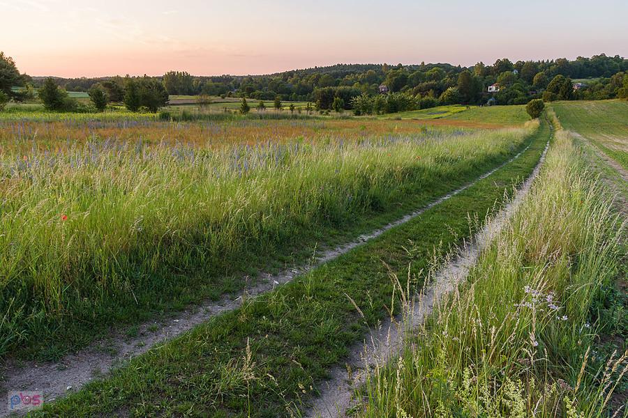 Suliszowice - droga za plecami