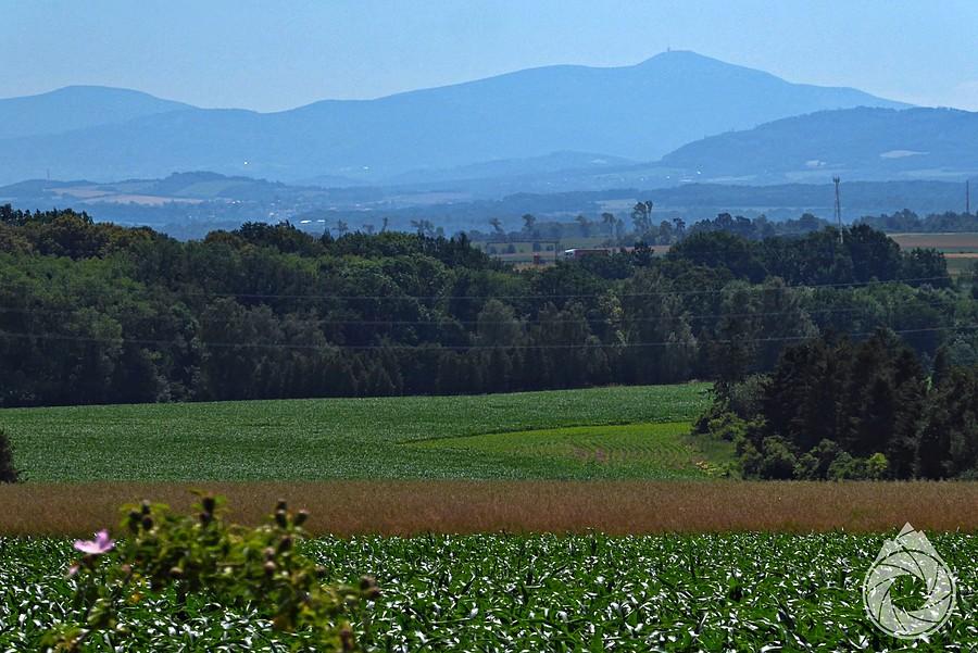 Beskid Morawsko-Śląski