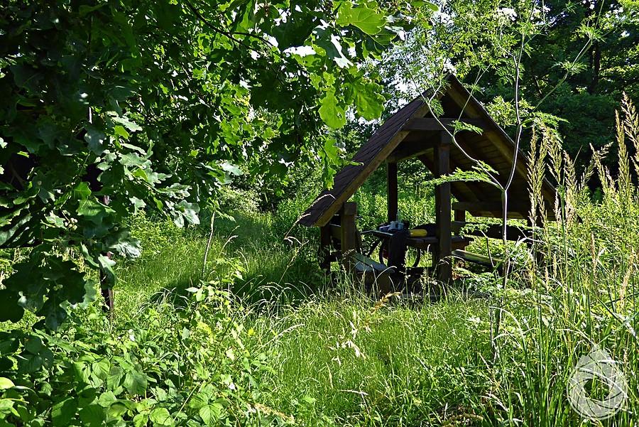 poranna wiata nad Odrą