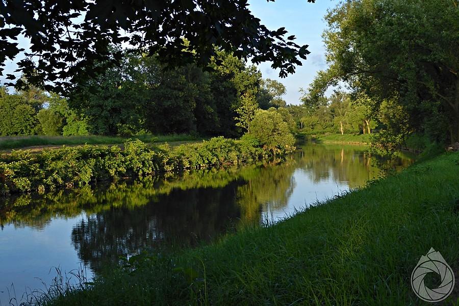 Olza późnym popołudniem
