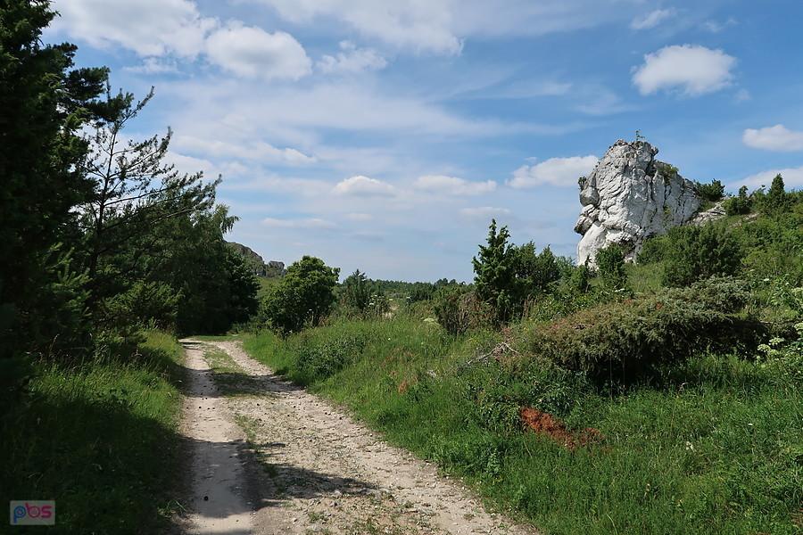 ścieżka na Cegielni